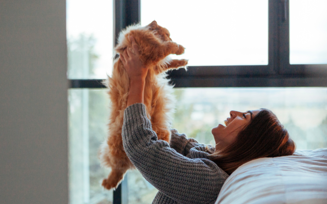 Keeping Your Senior Pet Thriving with Expert Care Orange City
